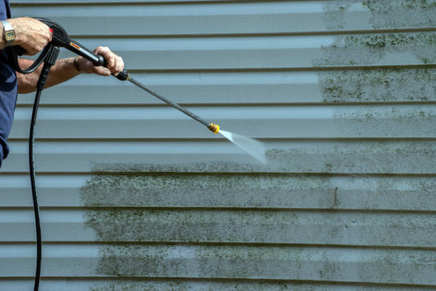 Best Sidewalk and Walkway Cleaning  in Peotone, IL